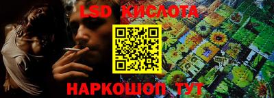 дмт Бийск