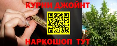 дмт Бийск