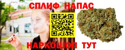 молекула духа Берёзовский
