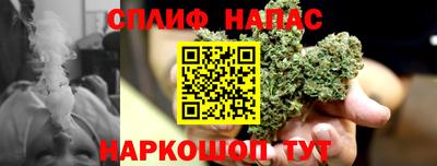 молекула духа Берёзовский